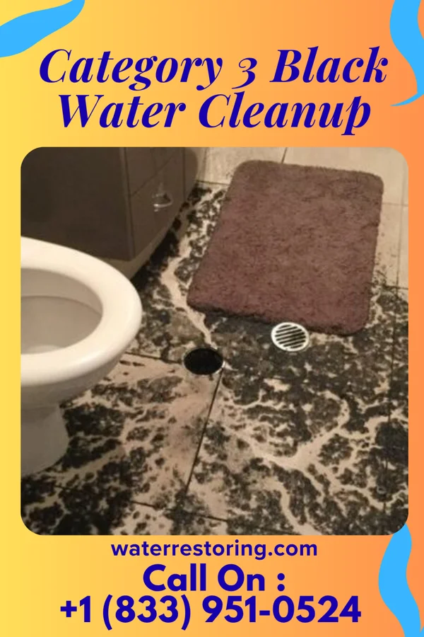 Category 3 Black Water Cleanup in Penn State Erie, PA
