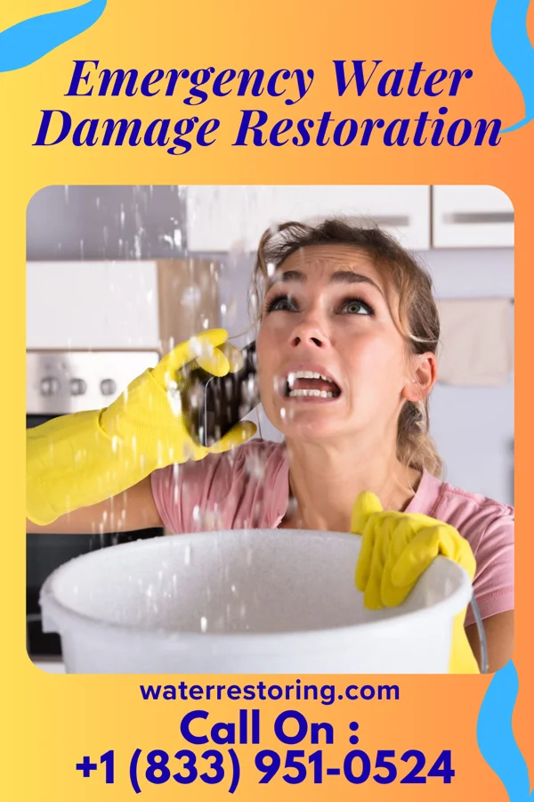 Emergency Water Damage Restoration in Penn State Erie, PA