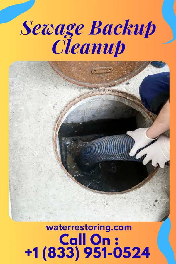 Sewage Backup Cleanup in Penn State Erie, PA