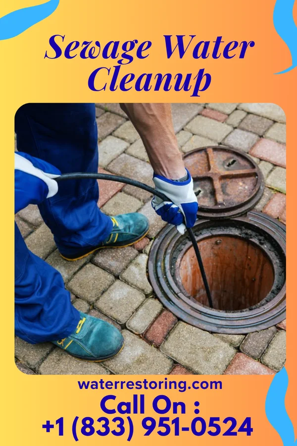 Sewage Water Cleanup in Penn State Erie, PA
