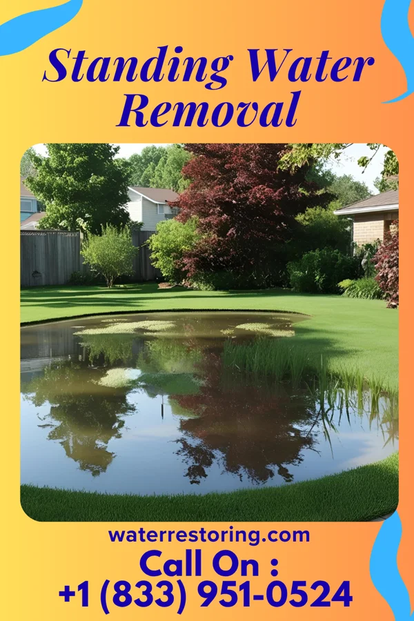Standing Water Removal in Penn State Erie, PA